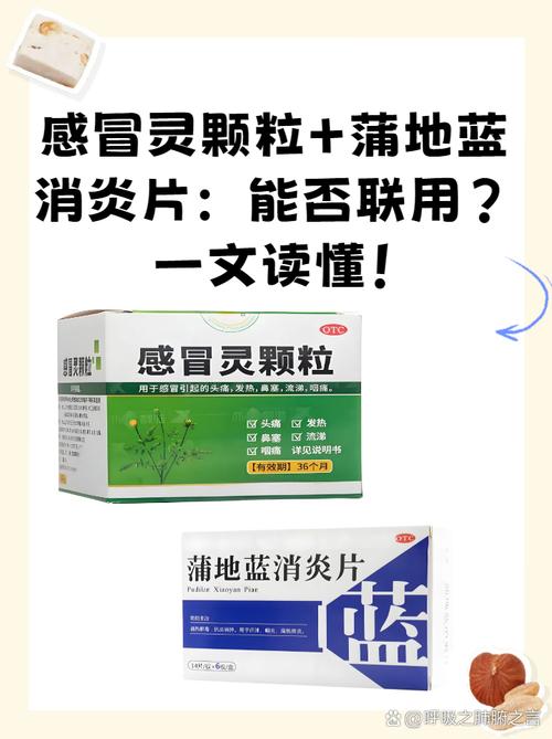 吃什么药可以预防感冒