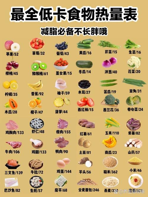 减肥的膳食是什么意思