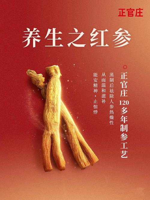 红参什么人可以吃