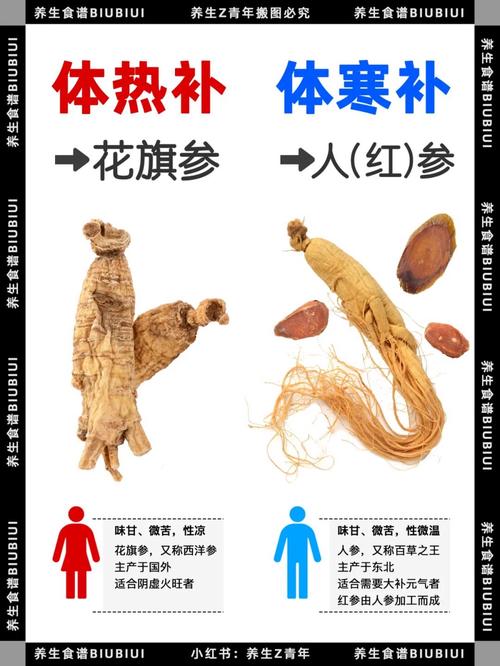 红参什么人可以吃