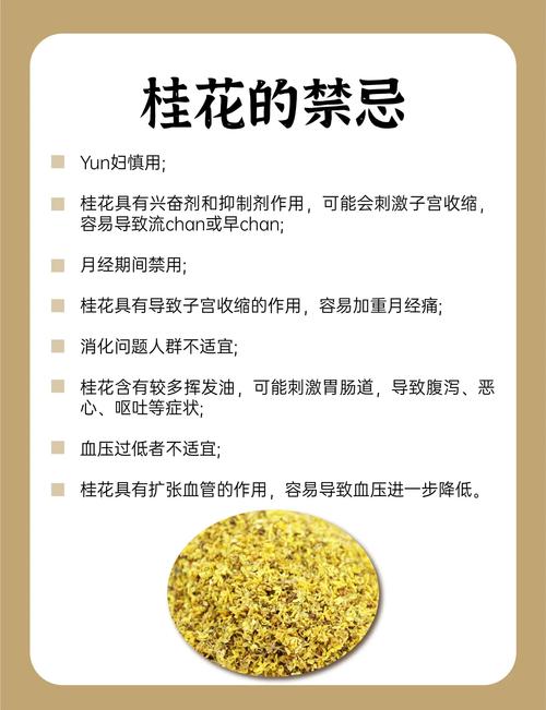 桂花泡茶有什么好处