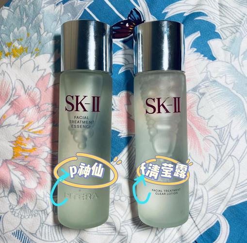skii是什么意思