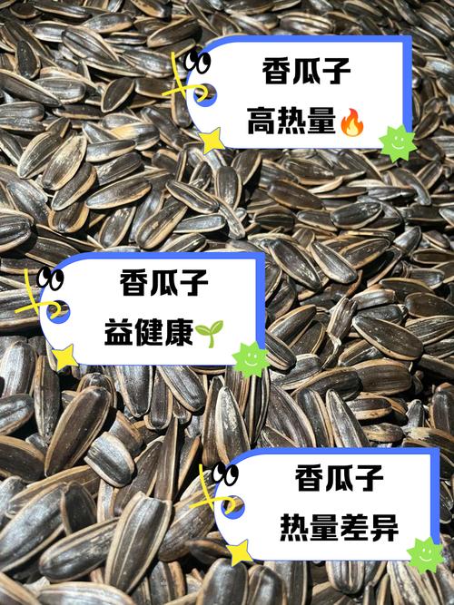 什么瓜子热量低