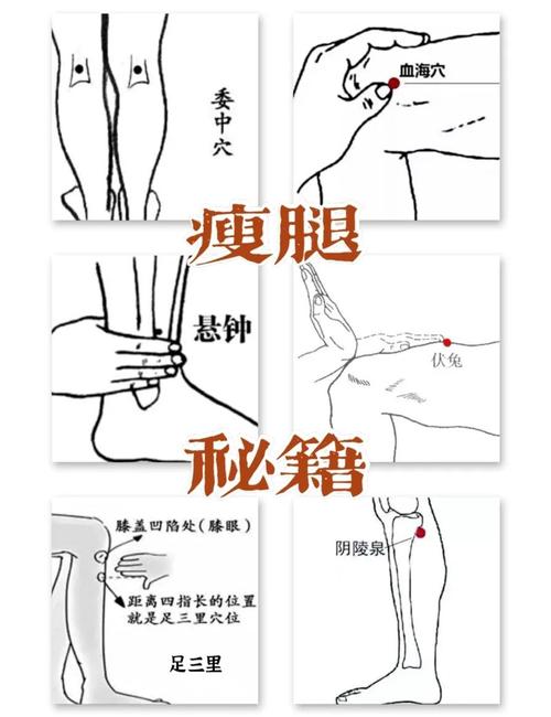 什么减肥方法瘦腿