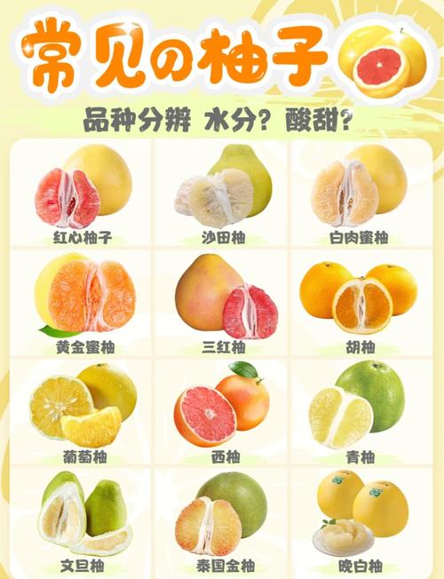 柚子什么时候种才可以减肥