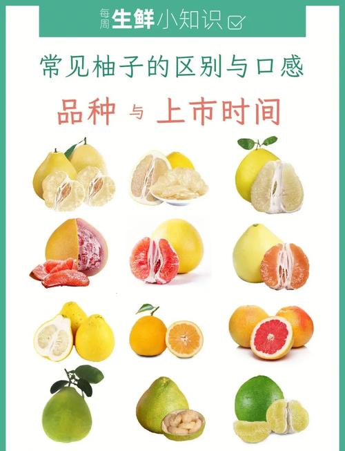 柚子什么时候种才可以减肥