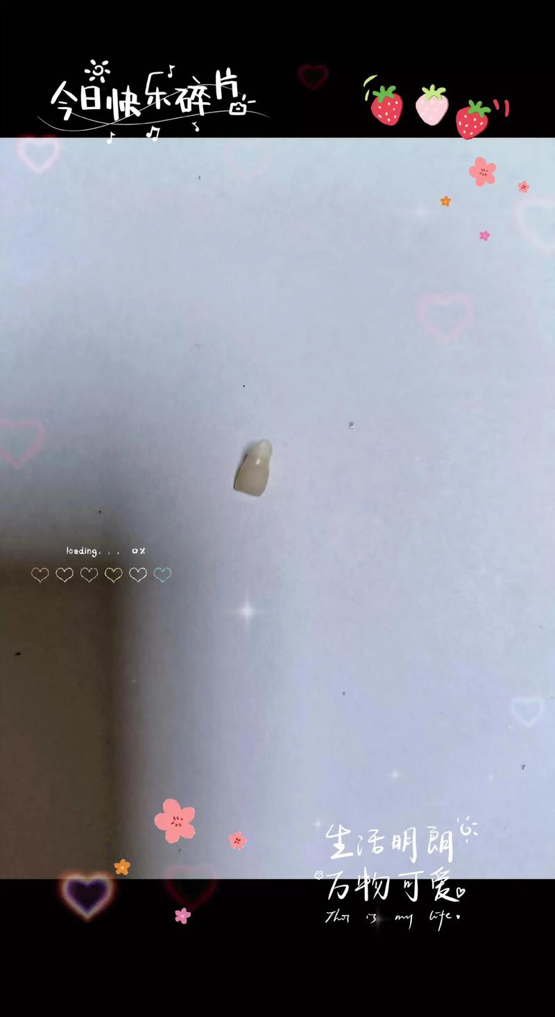 乳牙掉什么