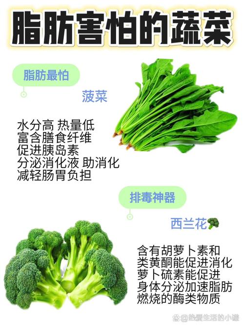 女人吃什么蔬菜能减肥最快最有效