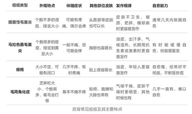 背部长痘痘是什么原因