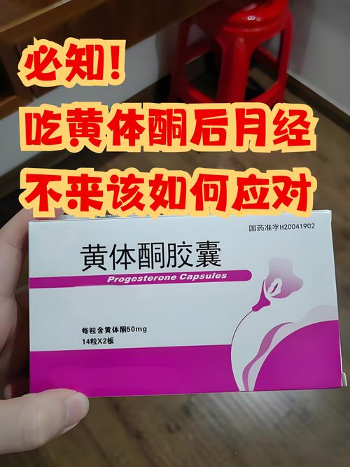来月经的吃什么最减肥药