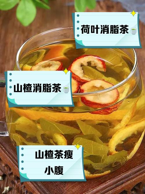 减肥减肚子喝什么茶