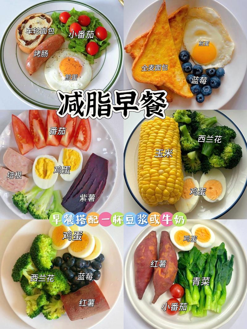 减肥的时候吃什么菜好