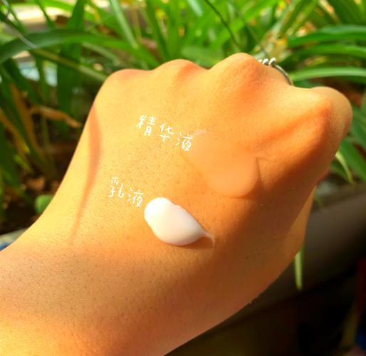 韩束墨菊补水洗面奶怎么样
