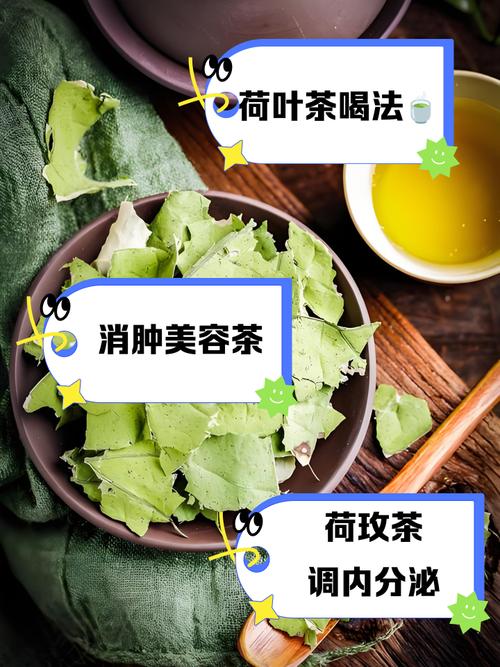 荷叶茶搭配什么减肥