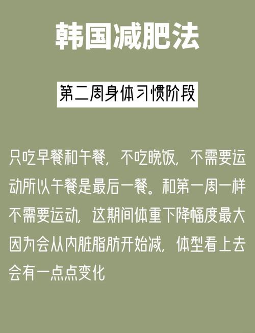 韩国流行的减肥方法是什么