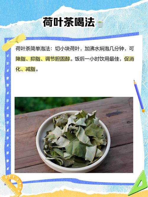干荷叶和什么搭配最减肥