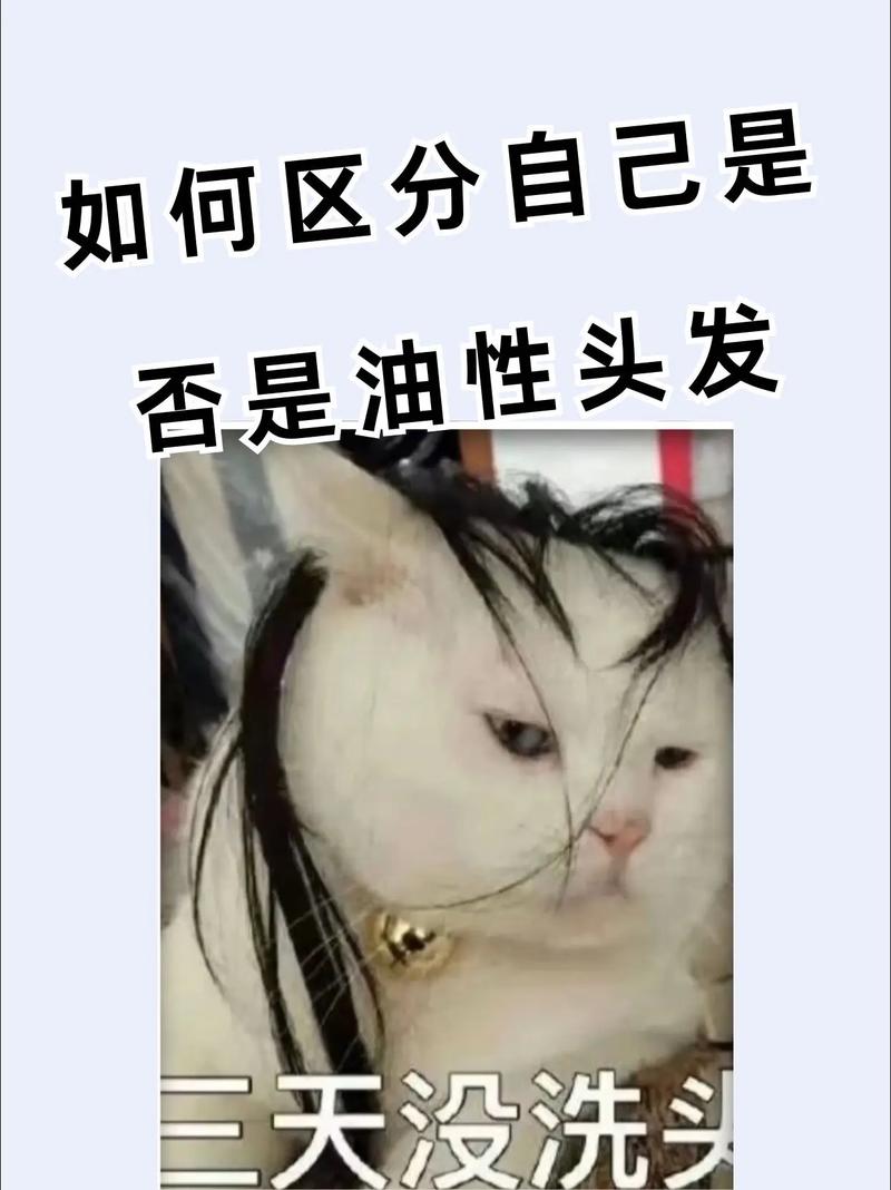 油性头发是什么原因