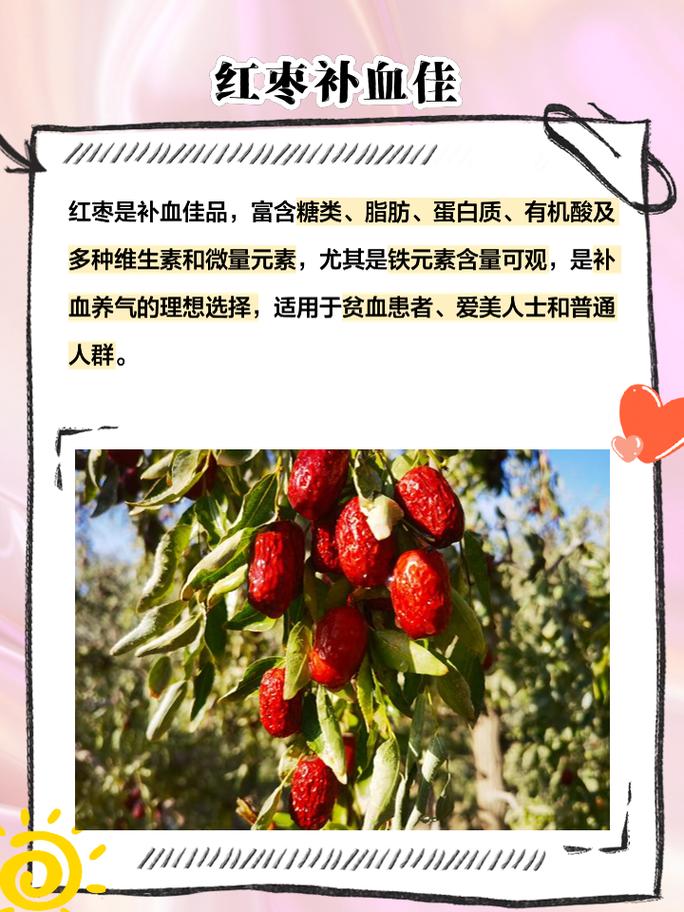 补血应该吃什么食物