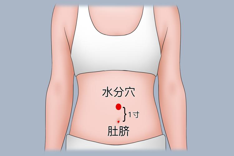拔火罐拔什么位置减肥