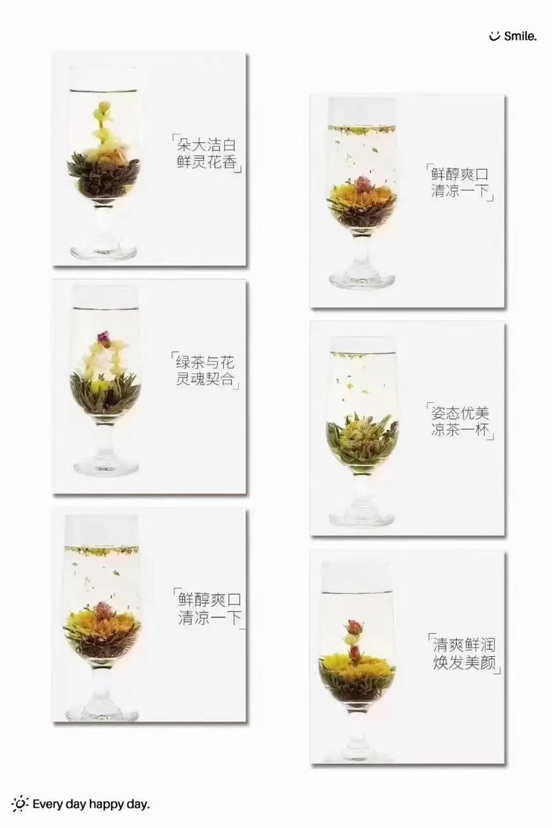 舒活什么