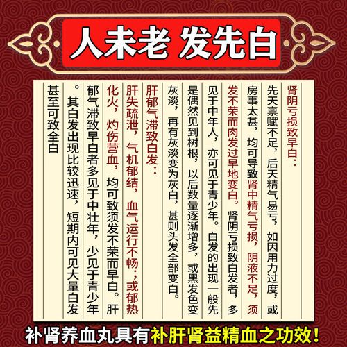 脱发白发吃什么好