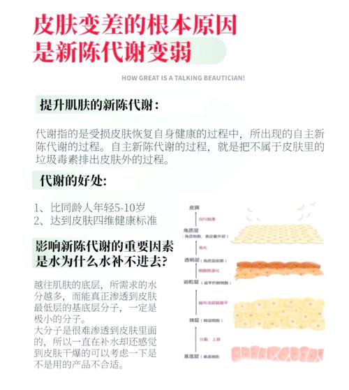 皮肤代谢是什么意思