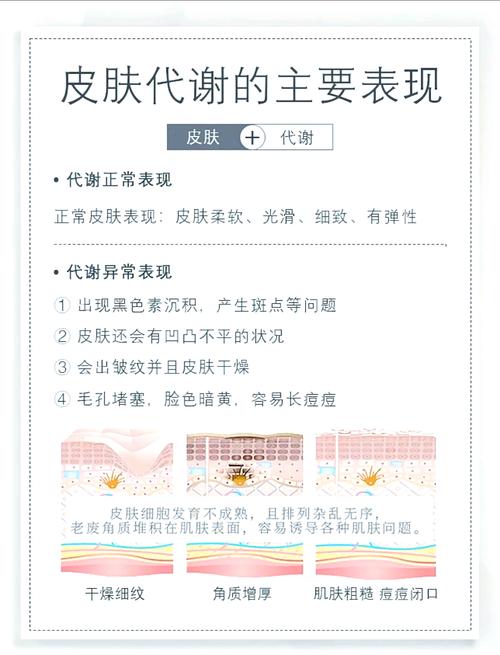 皮肤代谢是什么意思
