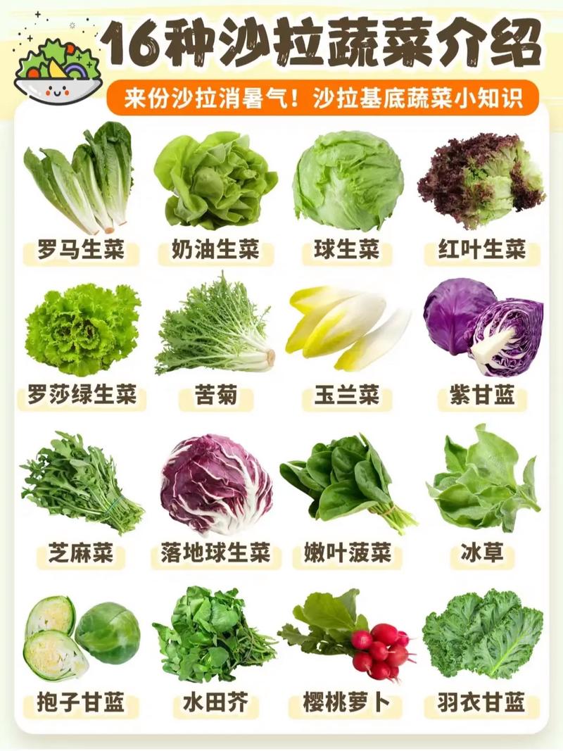 为什么吃蔬菜可以减肥
