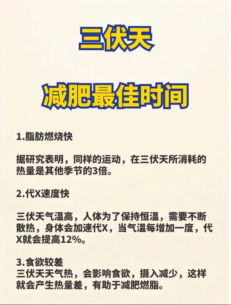 什么样体质易减肥