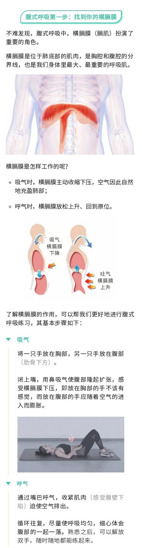 什么是腹式呼吸法