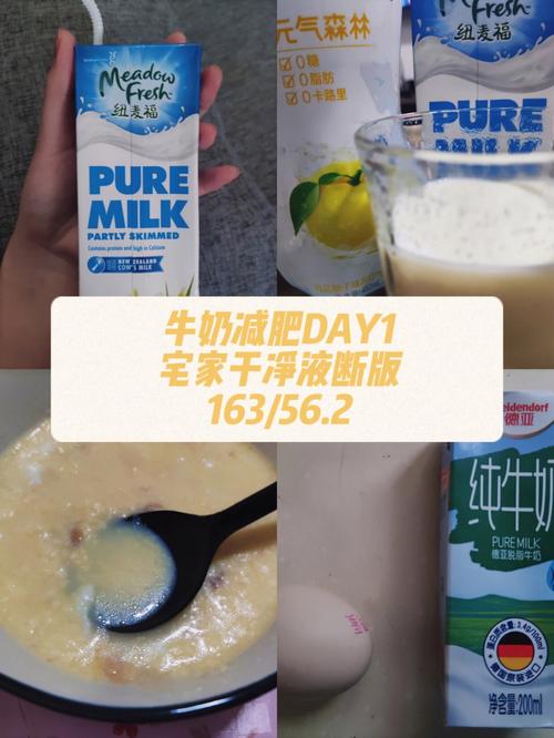 什么样的牛奶能减肥