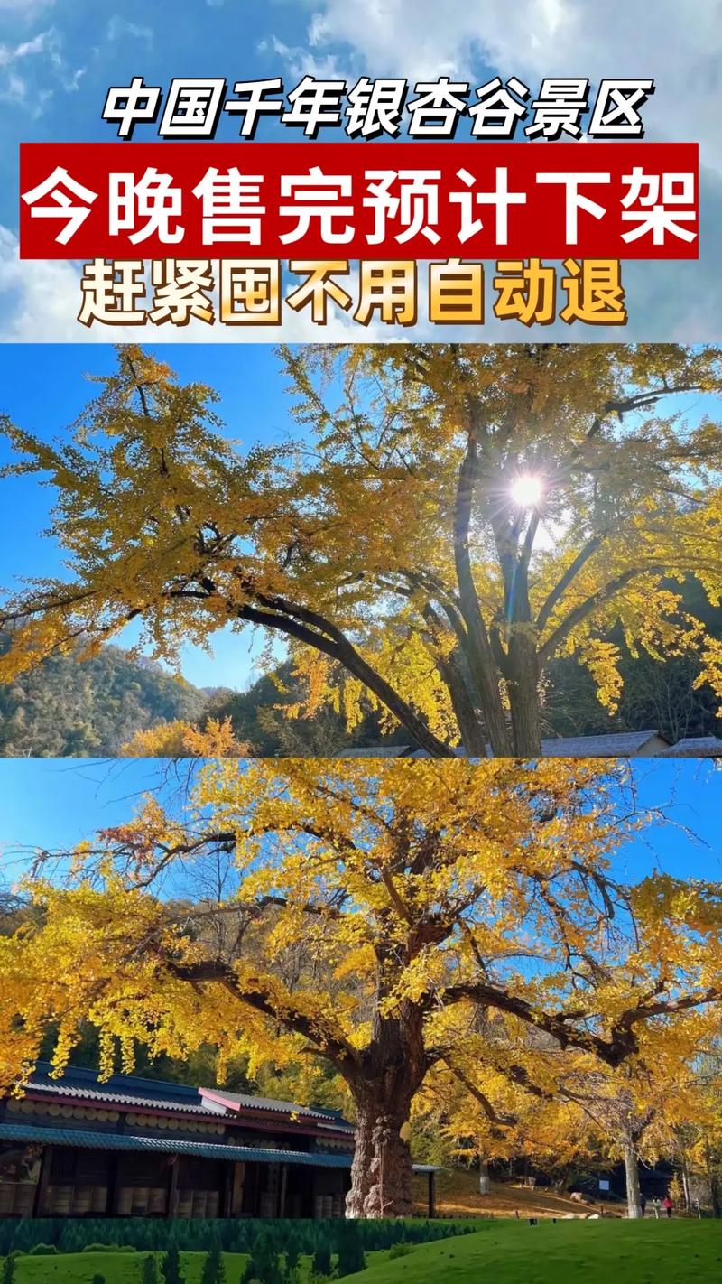 秋天有什么发现