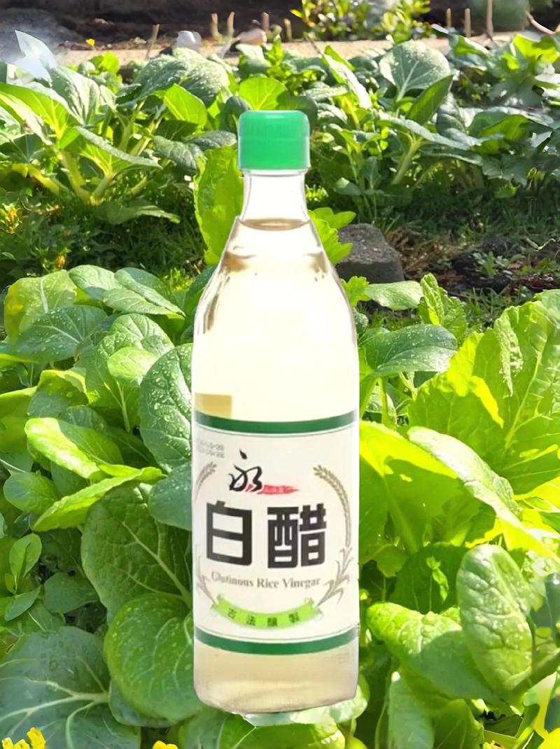 减肥用什么样的白醋好