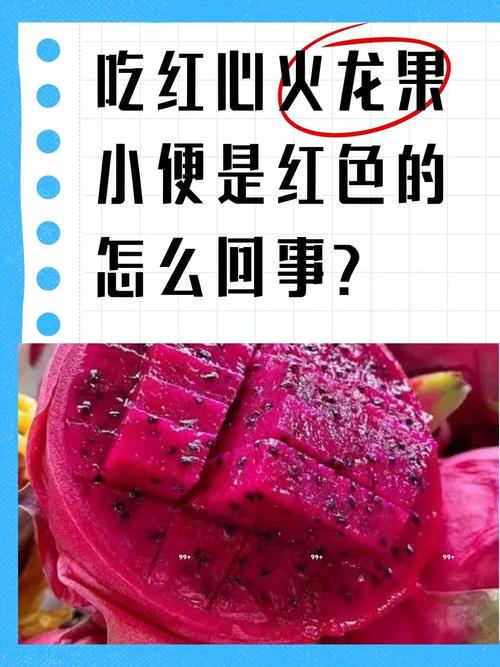 尿呈红色是什么原因