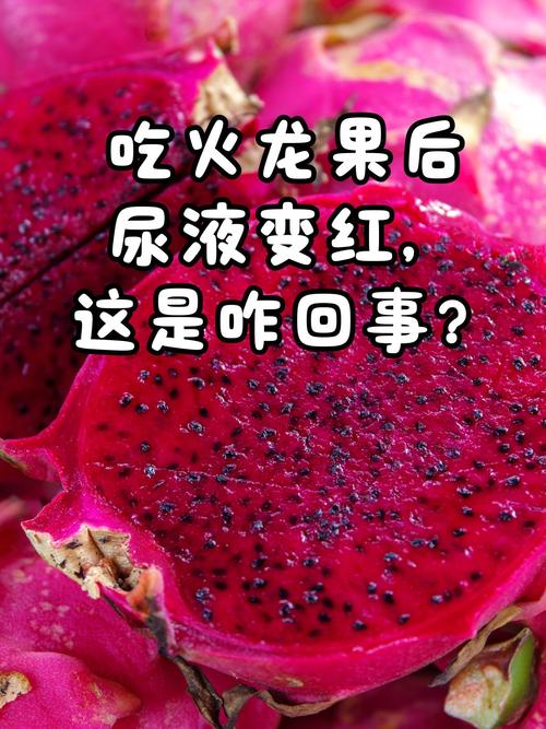 尿呈红色是什么原因