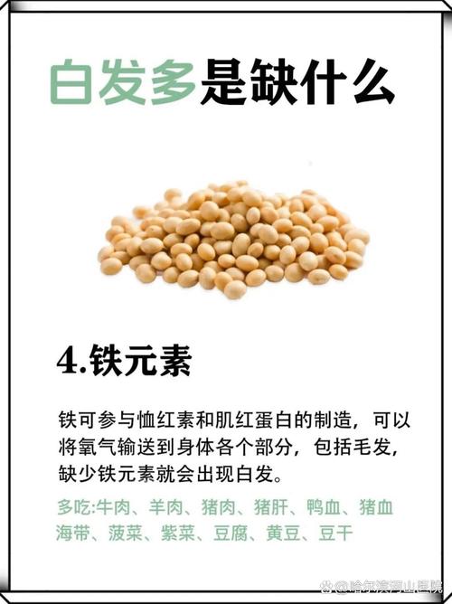 长白头发缺什么营养