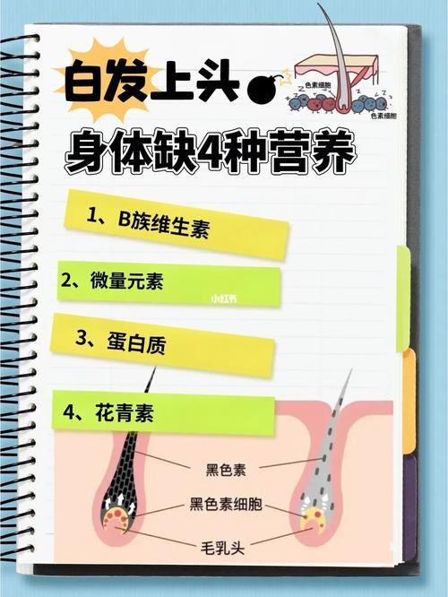 长白头发缺什么营养