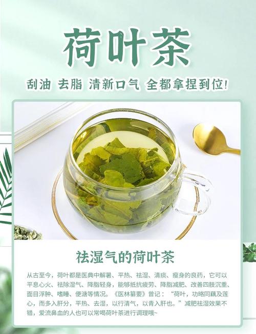 荷叶配什么茶喝才减肥