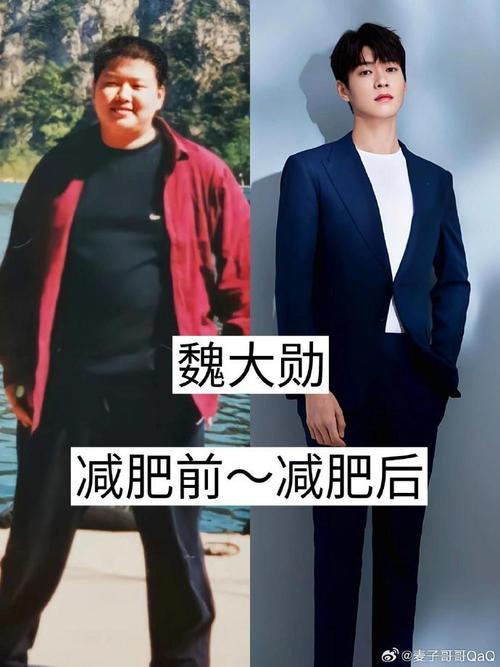 明星胖为什么不溶脂减肥