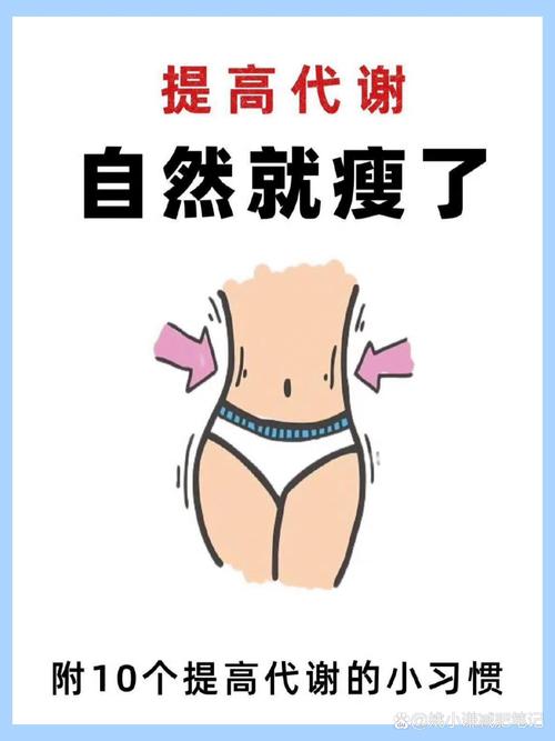 胖子为什么瘦不下来