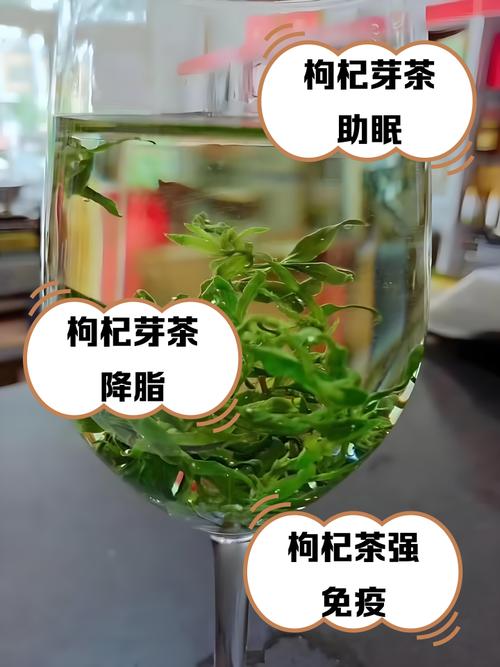 枸杞泡什么茶叶能减肥吗