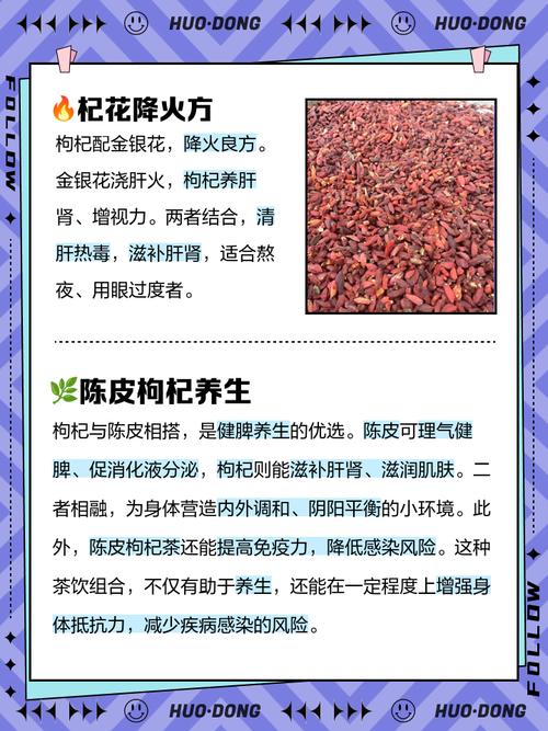 枸杞泡什么茶叶能减肥吗