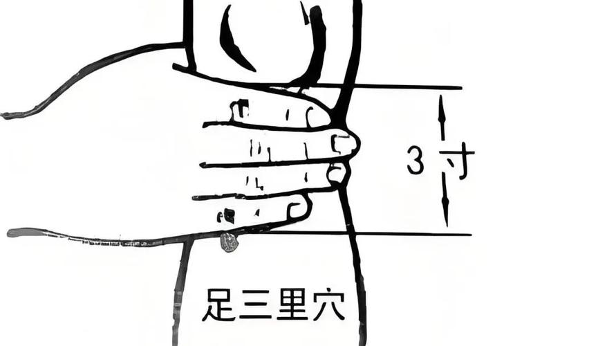 早上空腹按什么学位可以减肥