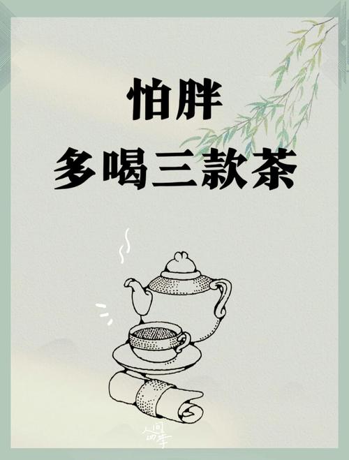 吃了肉之后喝什么茶减肥