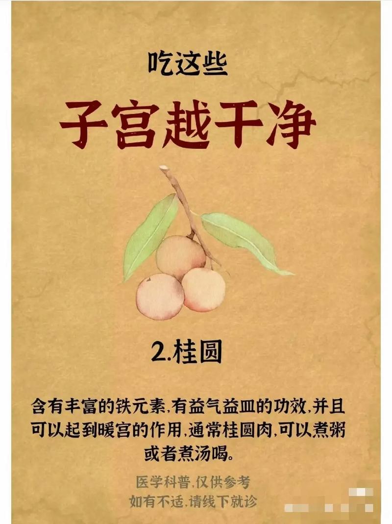 女人宫寒吃什么调理