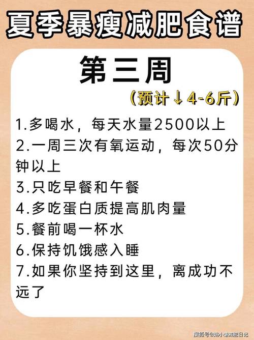减肥稳定期时的体重说明什么