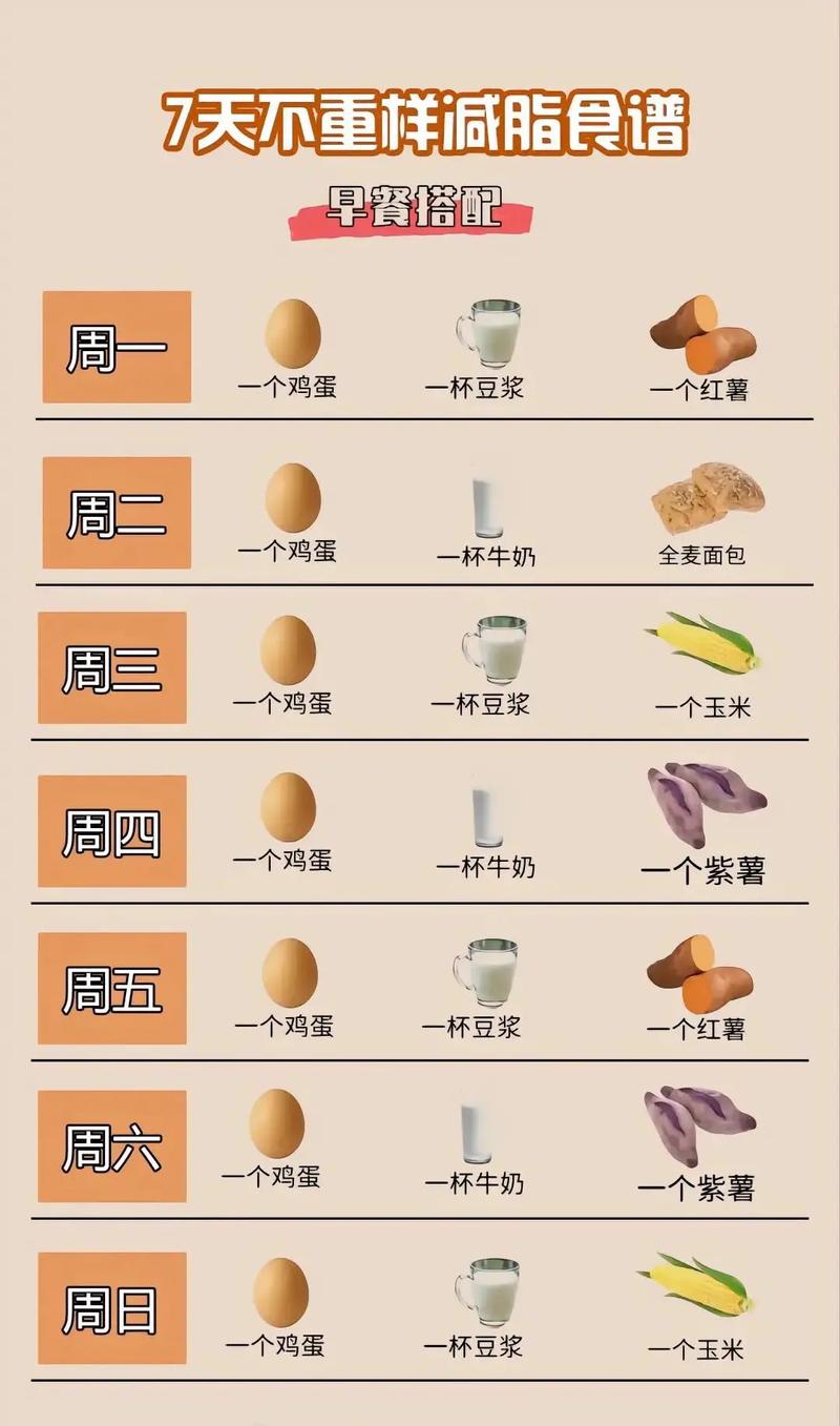 适当减肥一日三餐该吃什么