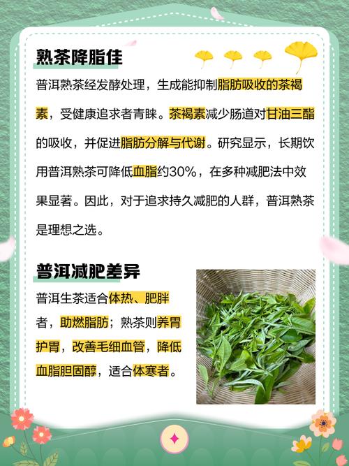 什么普洱茶可以减肥