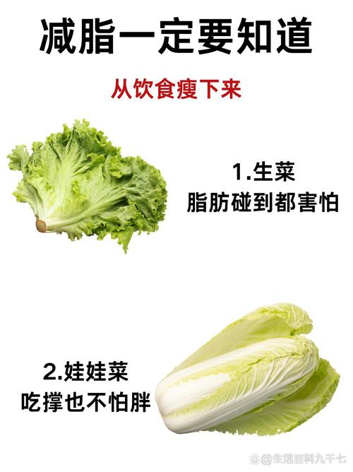 什么菜吃了减肥