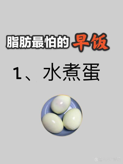什么东西没有脂肪
